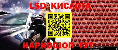 прущие грибы Ликино-Дулёво
