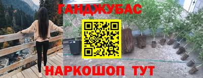 амф Лесосибирск
